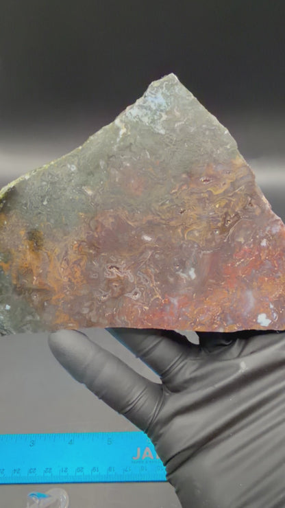 Maury Mountain Moss Agate (Unpolished) Slabs