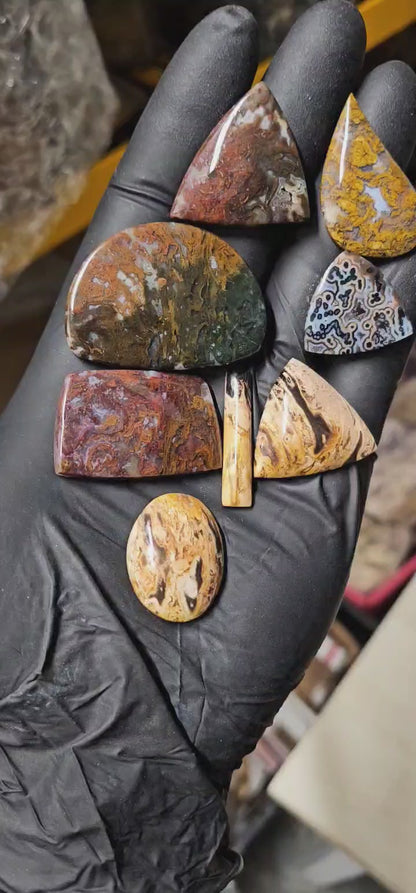 Cross Cut Tube Agate Cabochon