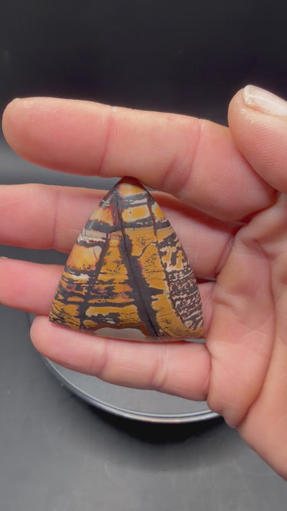 Indian Paint Jasper (Death Valley Region) Cabocon