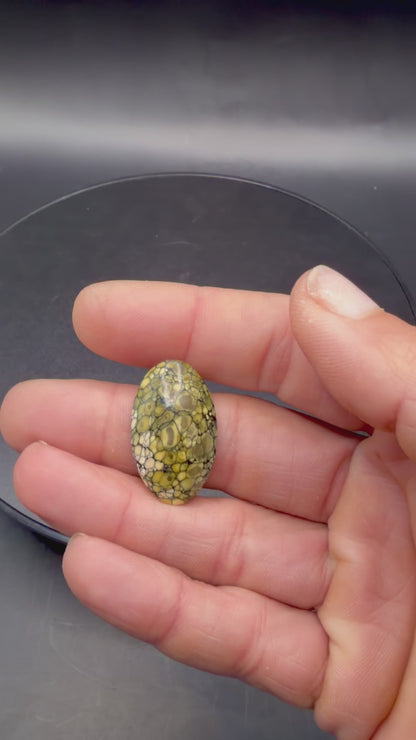 Dark Moon Hubei Turquoise (Hotsonite) Cabochons