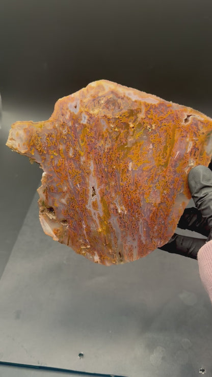 Bull Canyon Tube/Moss Agate (Unpolished)
