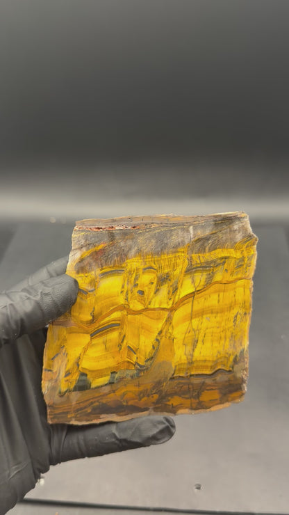 Tiger Eye (Unpolished)