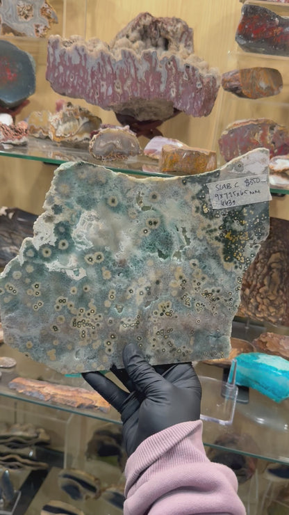 1st Vein Ocean Jasper (Unpolished)