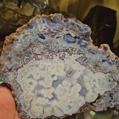 Mexican Luna Agate Slab - Premium Grade Old Stock (Polished)