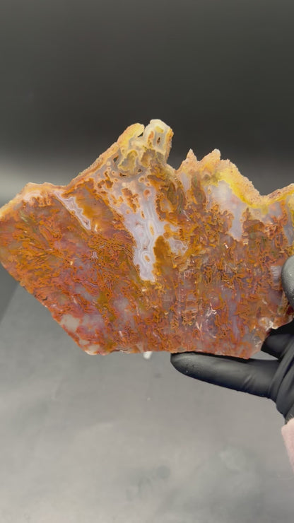 Bull Canyon Tube/Moss Agate (Unpolished)