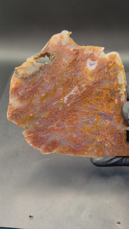 Bull Canyon Tube/Moss Agate (Unpolished)