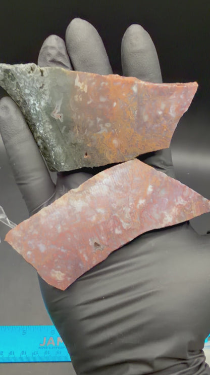 Maury Mountain Moss Agate (Unpolished) Slabs