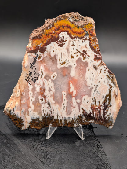 Moroccan Atlas Mountain Jasper slab (Unpolished)