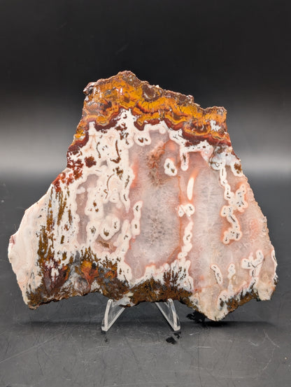 Moroccan Atlas Mountain Jasper slab (Unpolished)