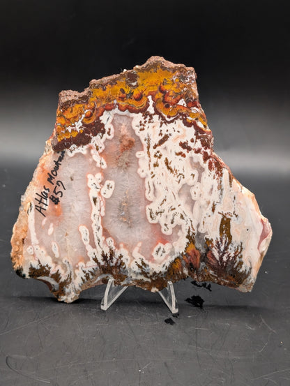 Moroccan Atlas Mountain Jasper slab (Unpolished)