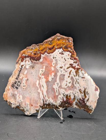 Moroccan Atlas Mountain Jasper slab (Unpolished)