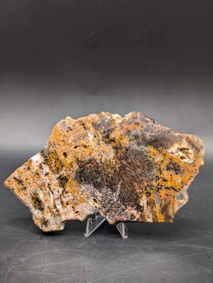 Cheetah Agate (Unpolished)