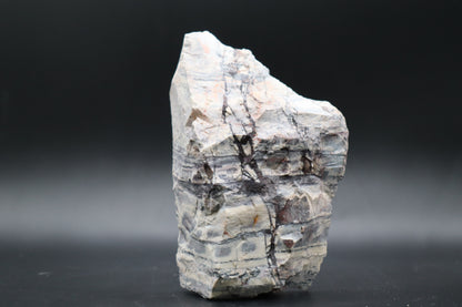Exotica Sci-Fi Jasper slab (Unpolished)