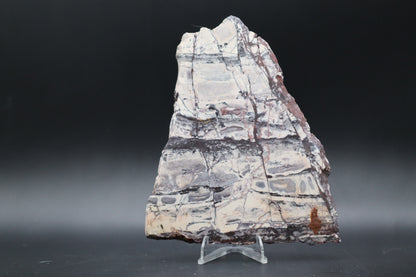 Exotica Sci-Fi Jasper slab (Unpolished)