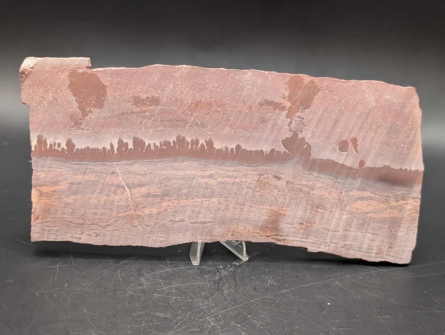 Apache Canyon Rhyolite (Unpolished)