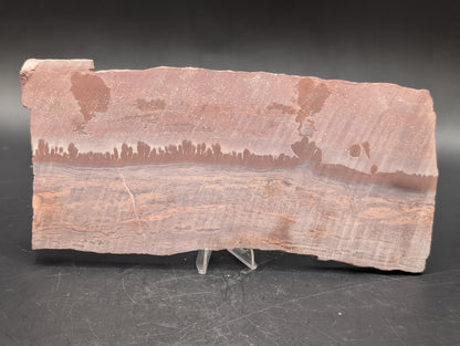 Apache Canyon Rhyolite (Unpolished)