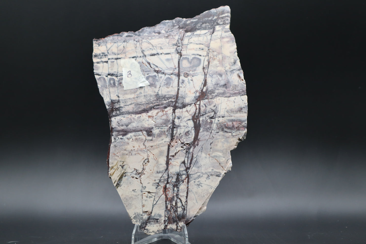 Exotica Sci-Fi Jasper slab (Unpolished)