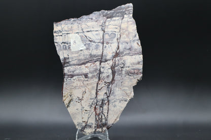 Exotica Sci-Fi Jasper slab (Unpolished)