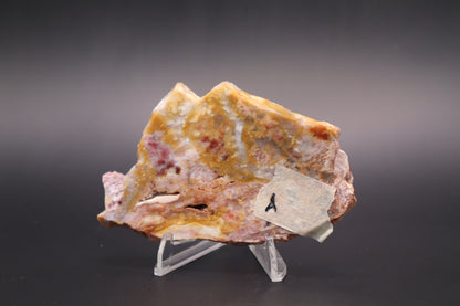 Windy Mountain Snowflake Jasper slab (Unpolished)
