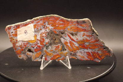 Wingate Pass Plume Agate slab (Unpolished)