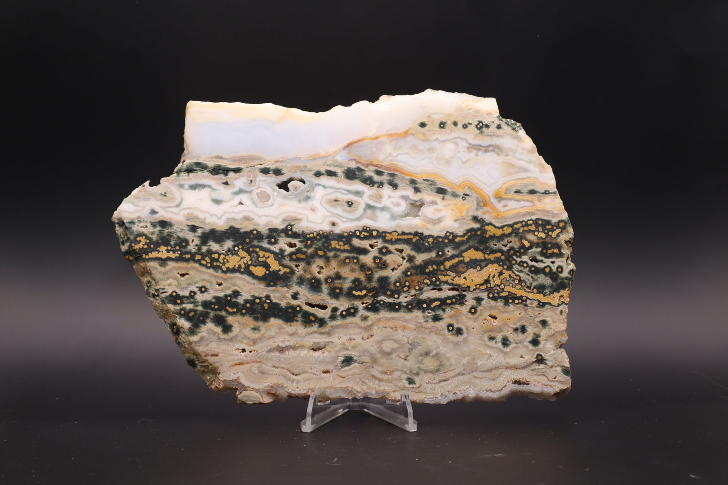 Ocean Jasper Slab (Unpolished)