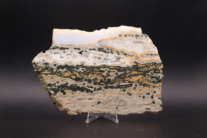Ocean Jasper Slab (Unpolished)