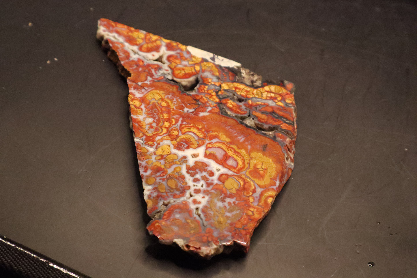 Wingate Pass Plume Agate slab (Semi-Polished)
