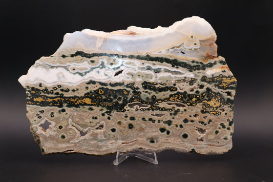 Ocean Jasper Slab (Unpolished)
