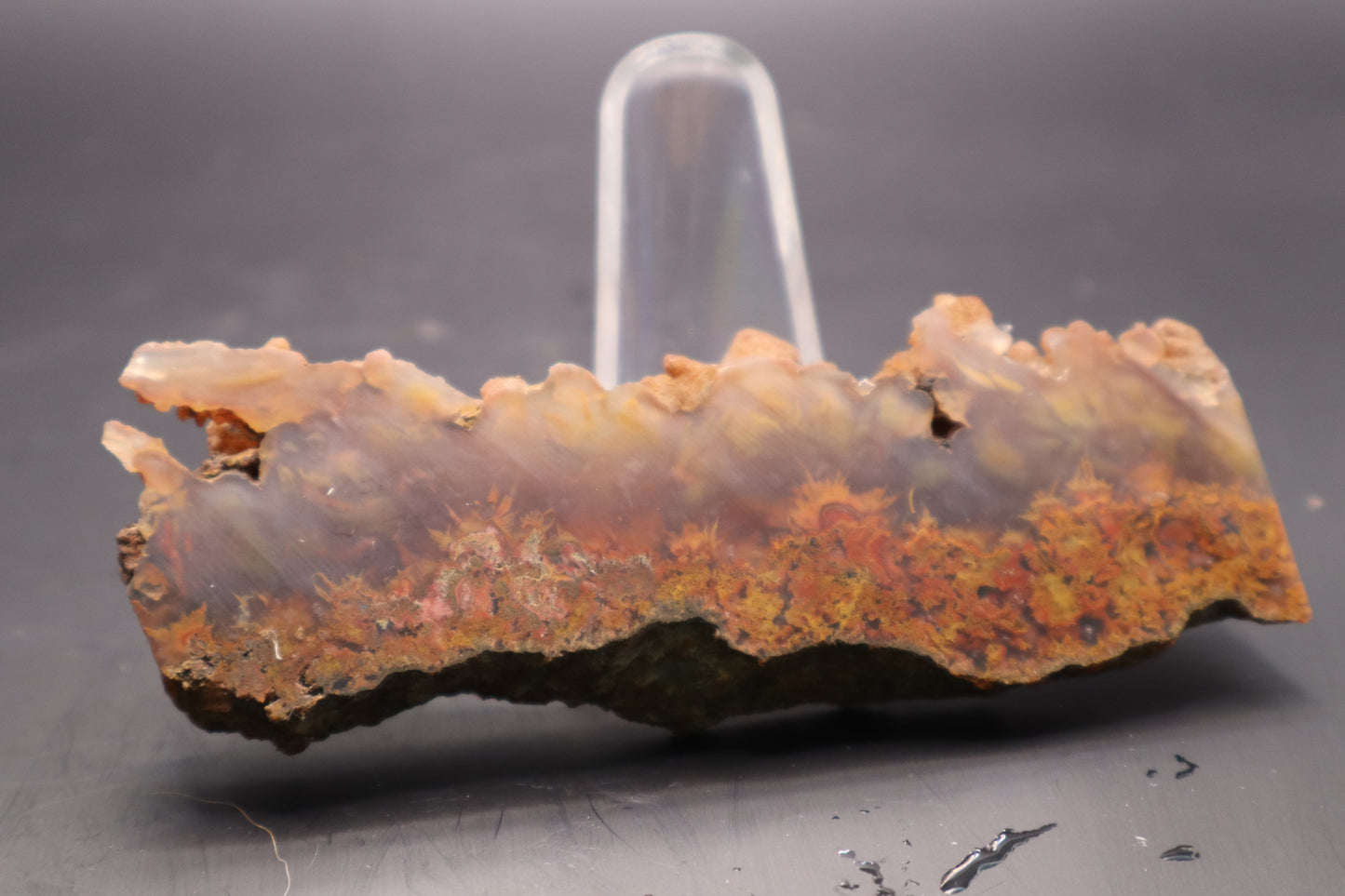 Bird of Paradise Agate