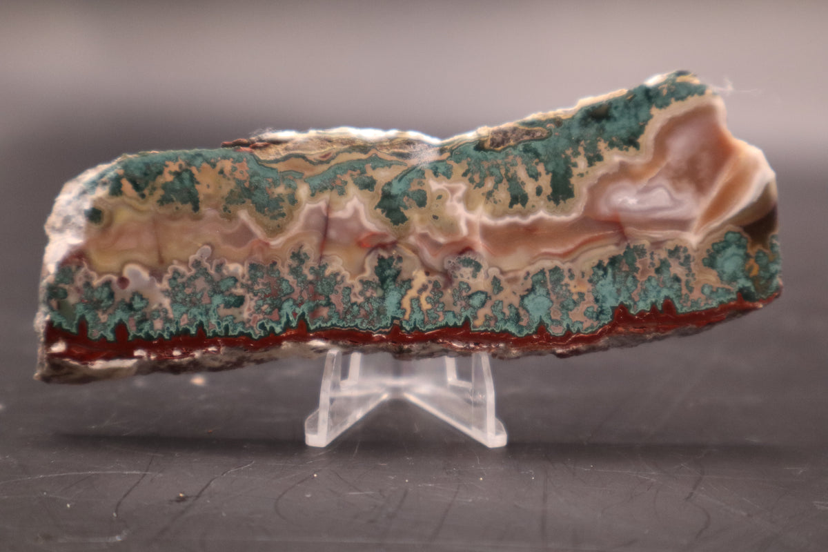 Idaho Wildfire Seam Agate (Polished)