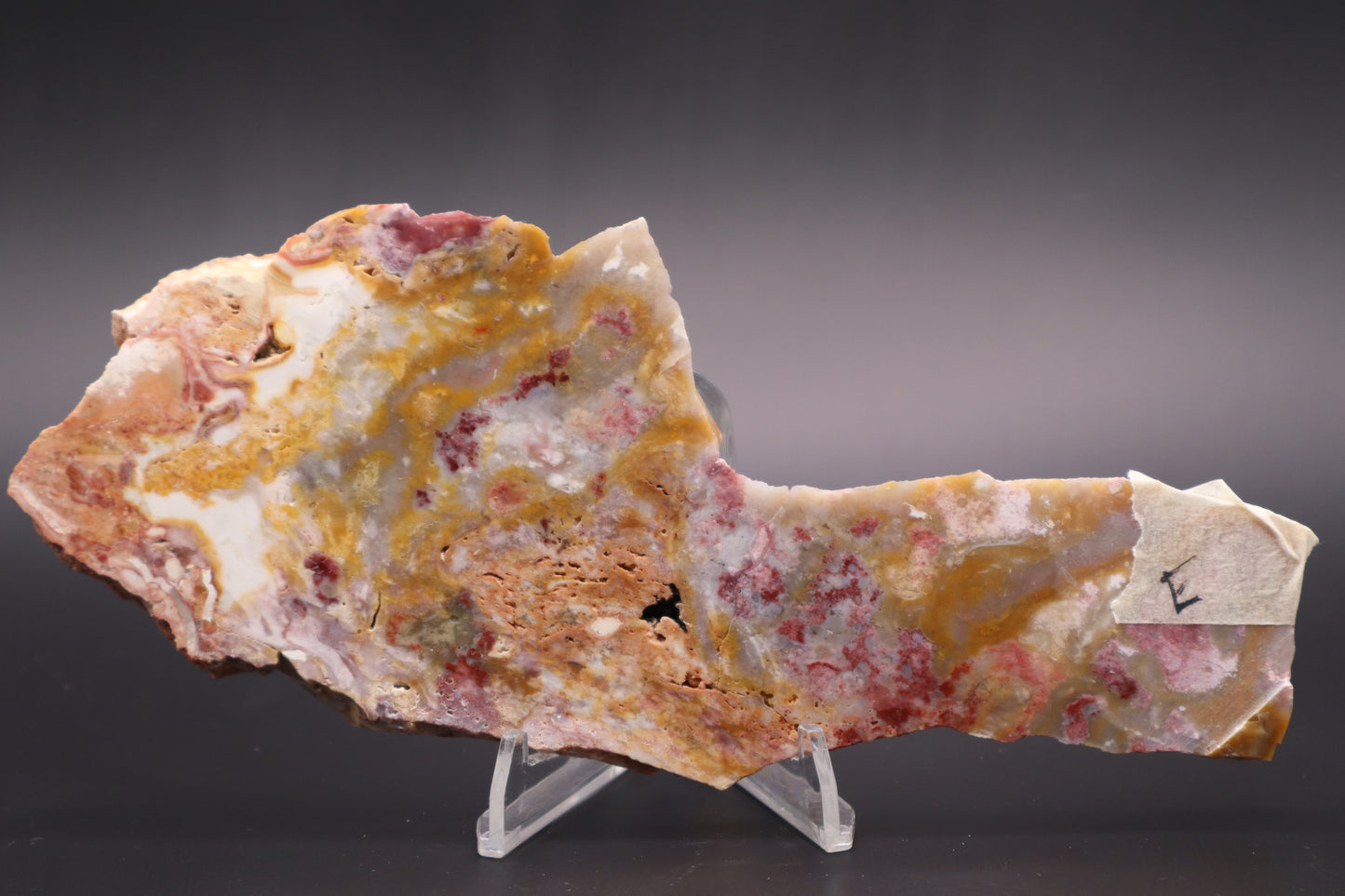 Windy Mountain Snowflake Jasper slab (Unpolished)