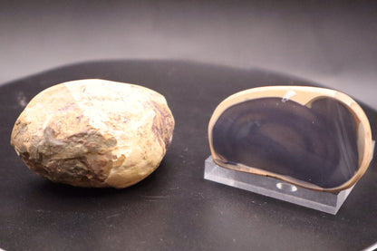 Fryite Jasper Split Nodule (Collector's Grade-Polished)