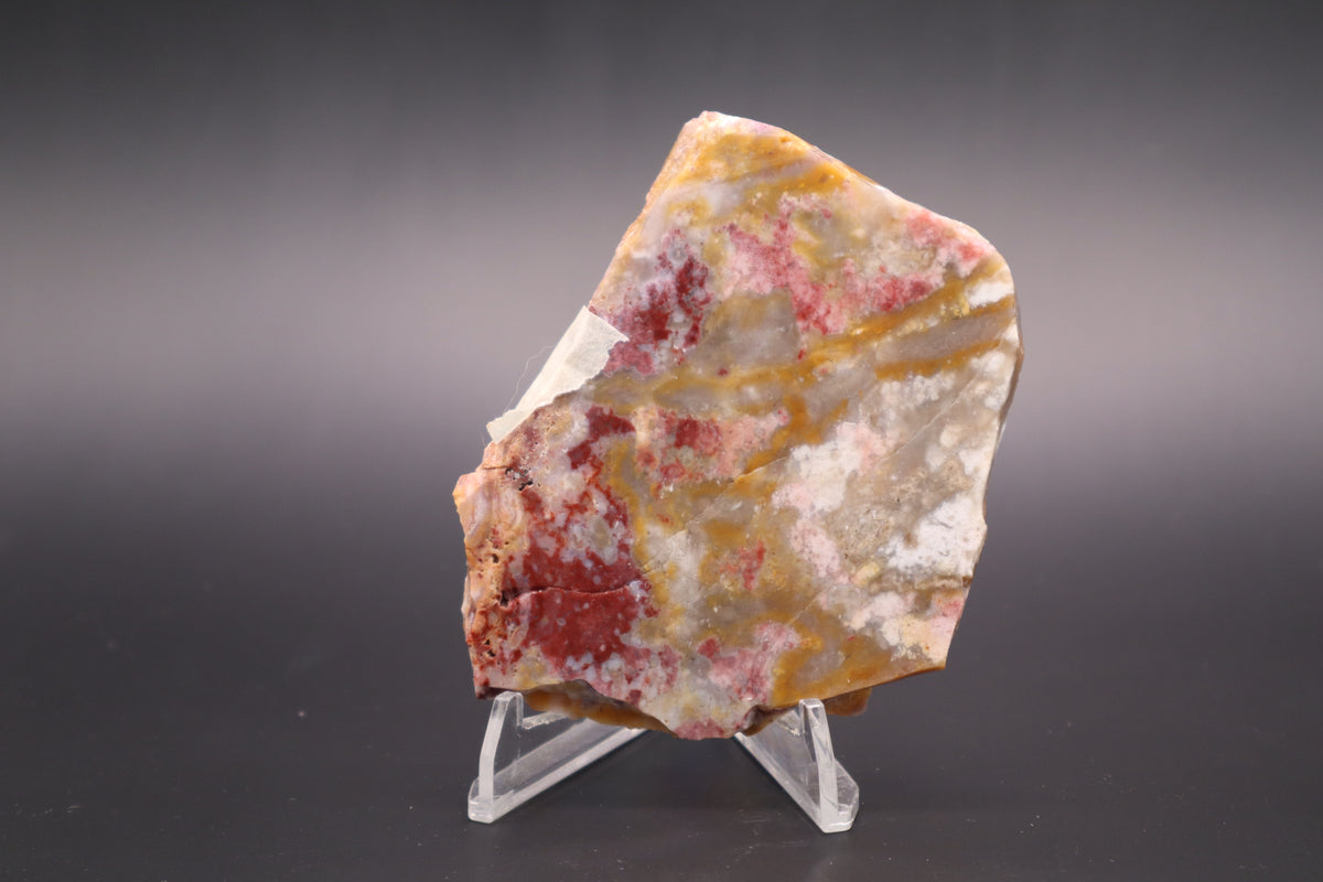 Windy Mountain Snowflake Jasper slab (Unpolished)