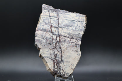 Exotica Sci-Fi Jasper slab (Unpolished)