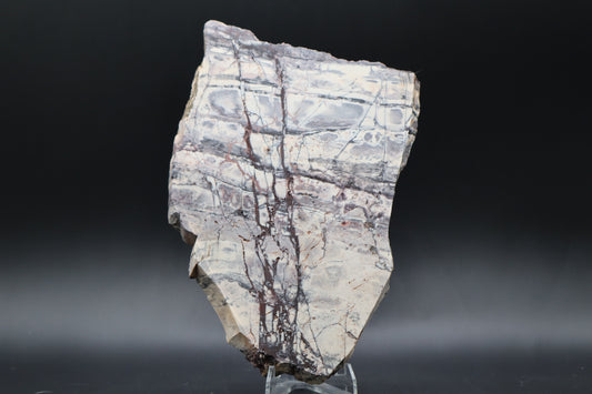 Exotica Sci-Fi Jasper slab (Unpolished)