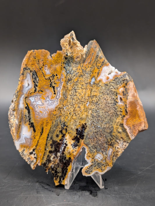 Cheetah Agate (Unpolished)