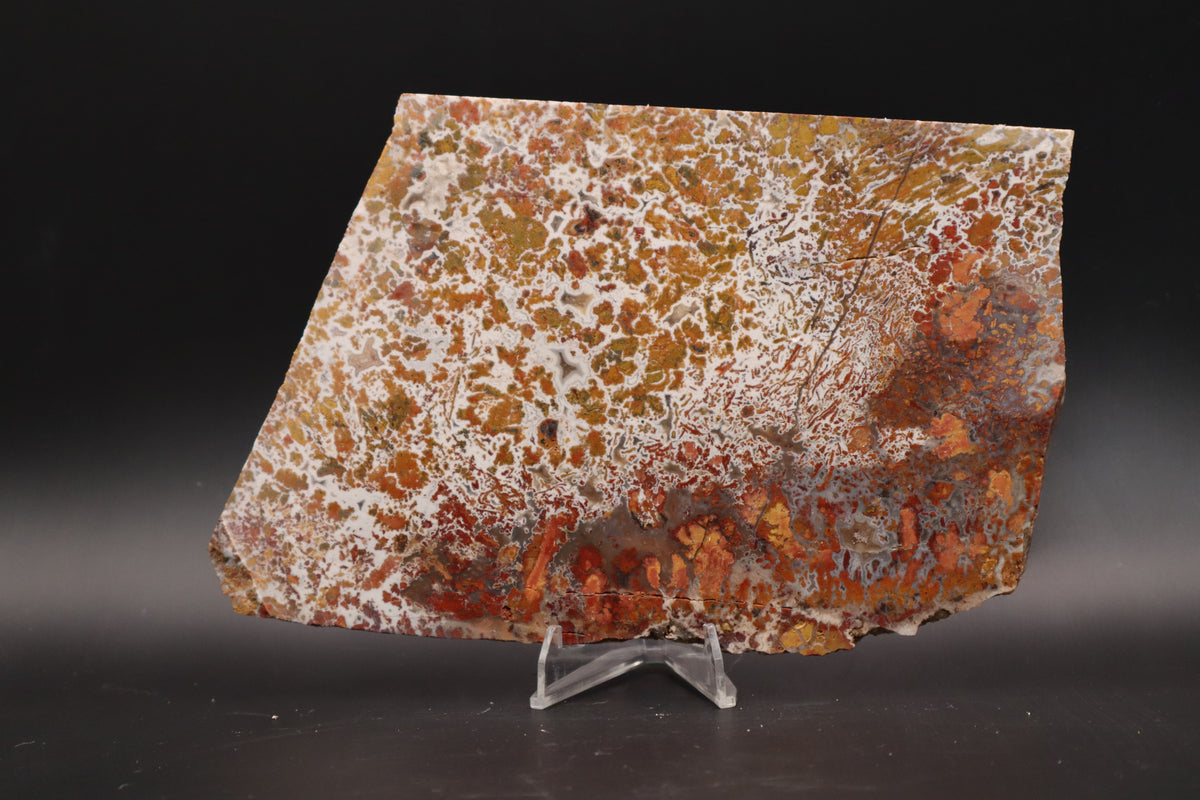 Moroccan Atlas Mountain Jasper slab (Unpolished)
