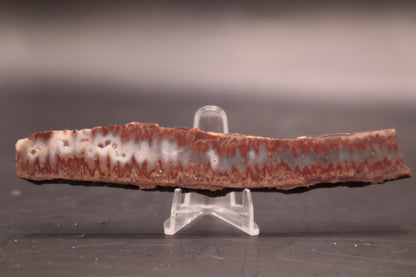 Idaho Wildfire Seam Agate (Polished)