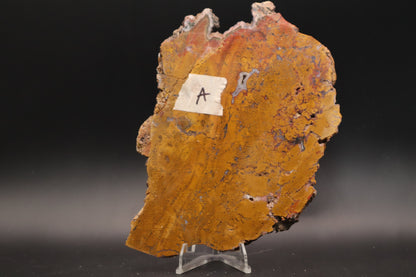Arizona Yellow Jasper Agate slab (Unpolished)