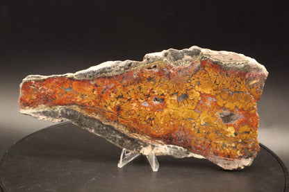 Wingate Pass Plume Agate slab (Unpolished)
