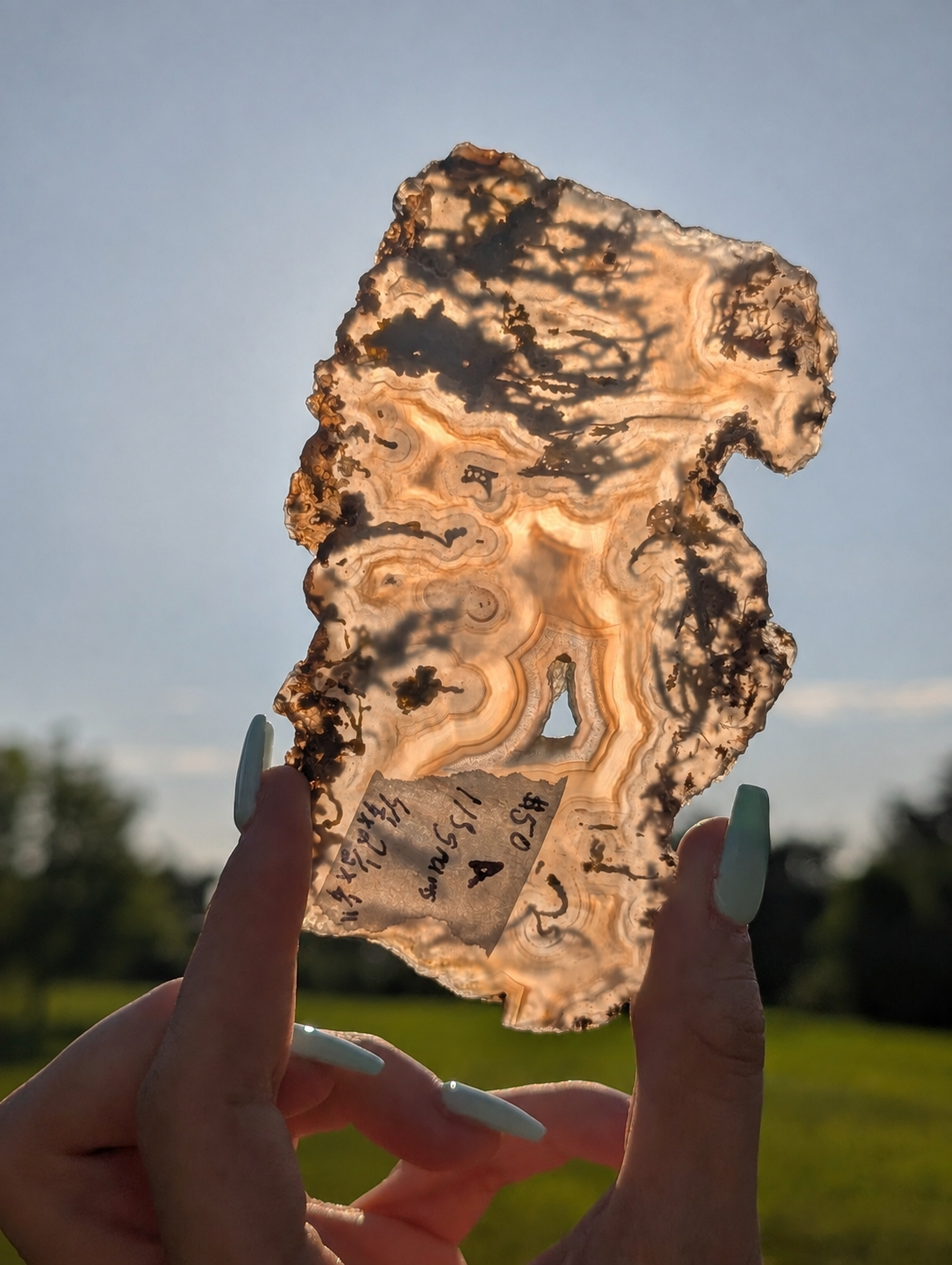 San Carlos Moss Agate (Unpolished)