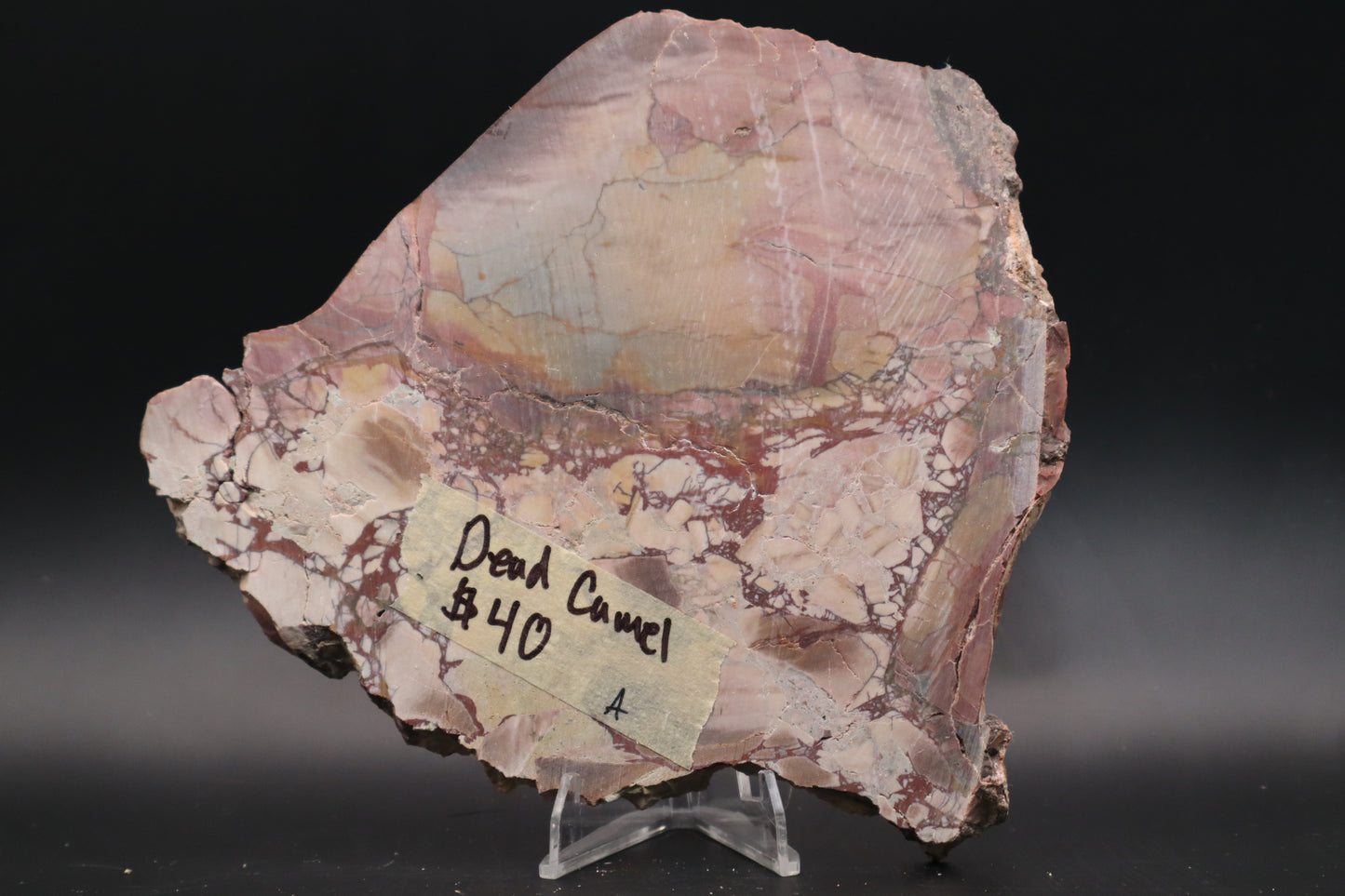 Dead Camel slab (Unpolished)