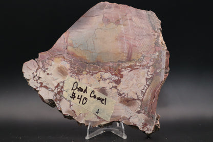 Dead Camel slab (Unpolished)