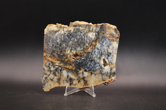 Australian Dendritic Opal slab (Unpolished)