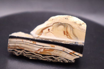 Fryite Jasper specimen (Collector's Grade-Polished)