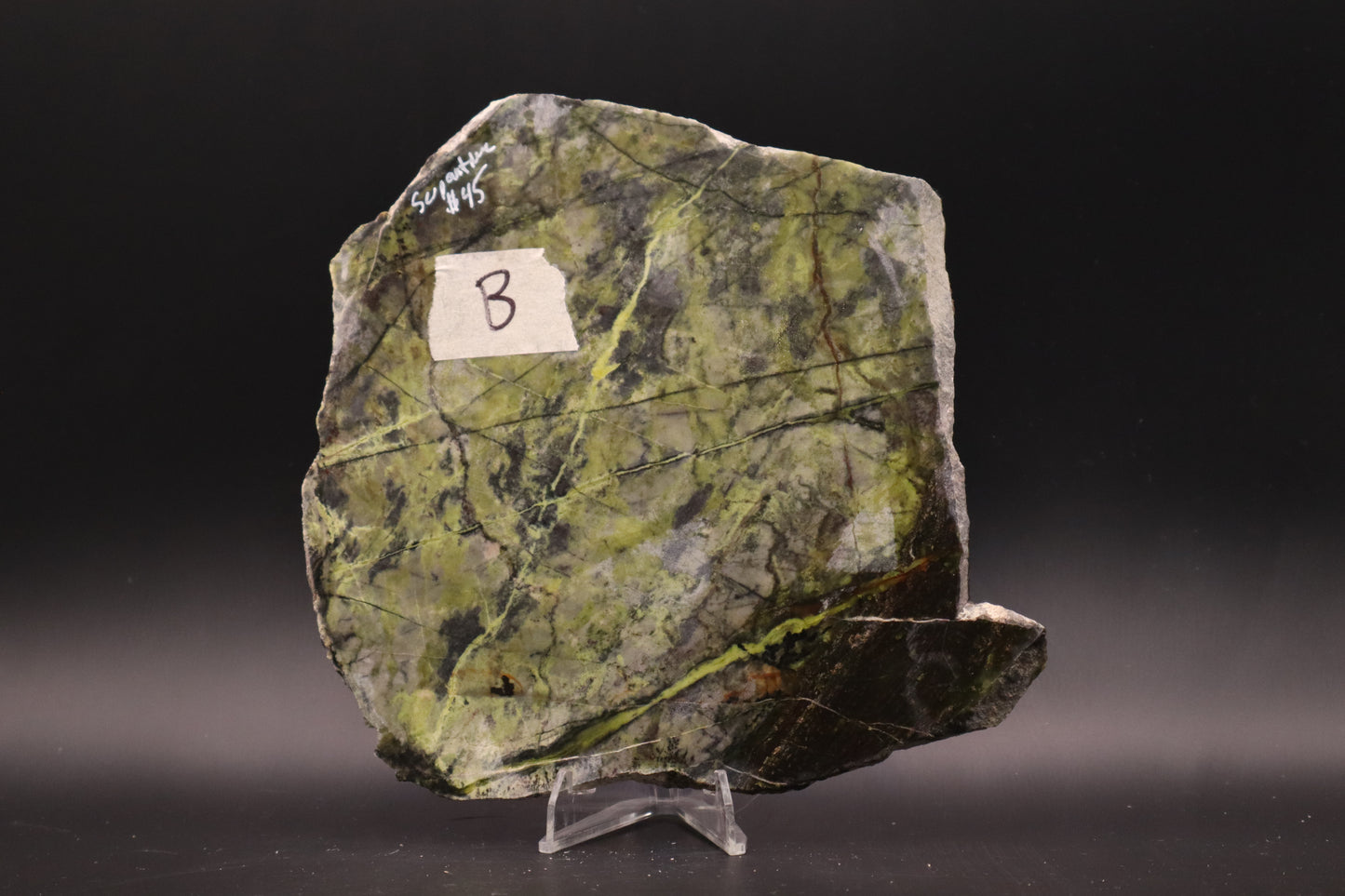 Serpentine (Unpolished)