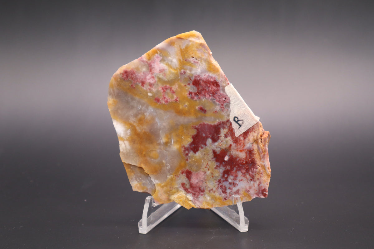 Windy Mountain Snowflake Jasper slab (Unpolished)
