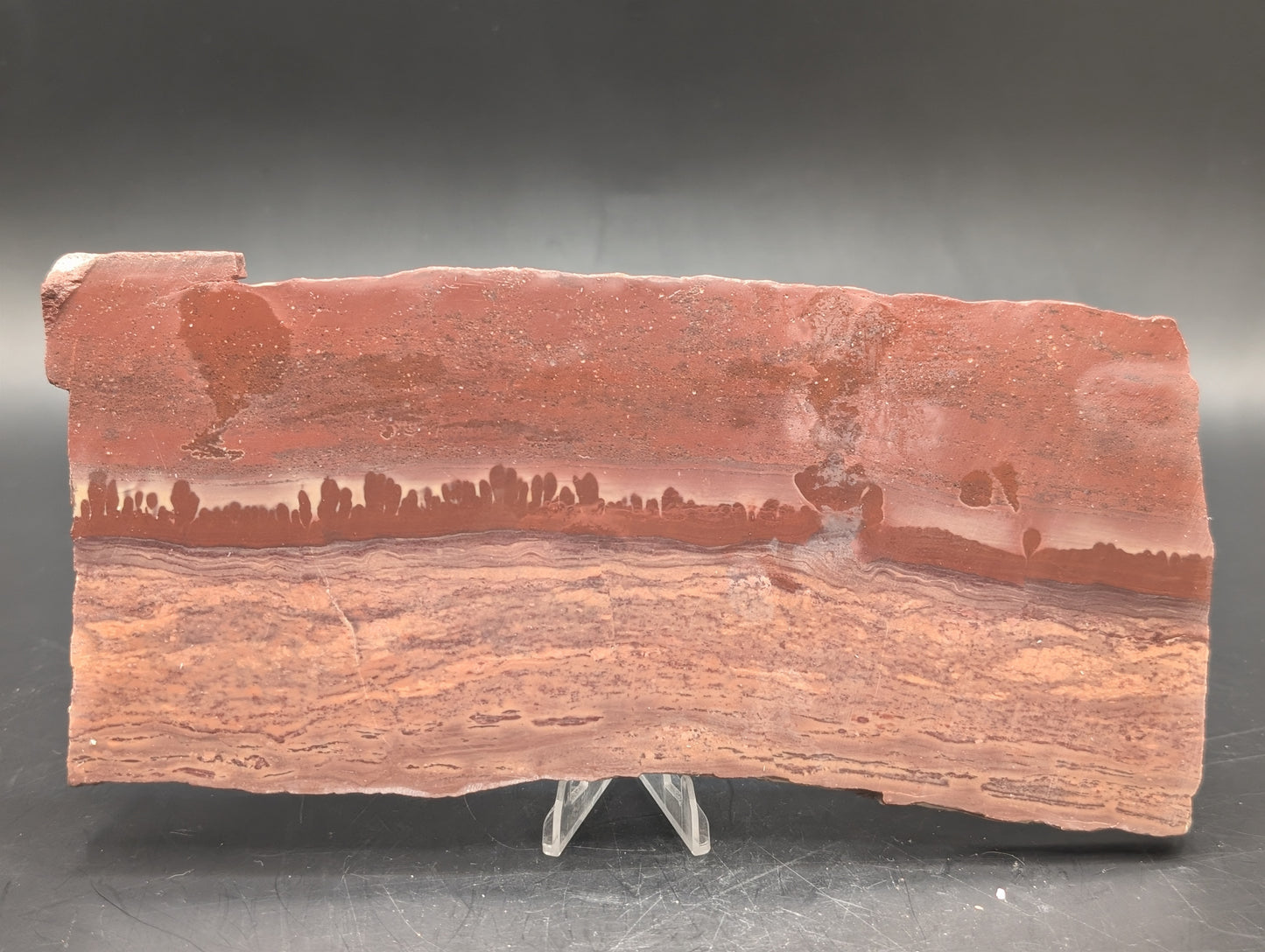 Apache Canyon Rhyolite (Unpolished)