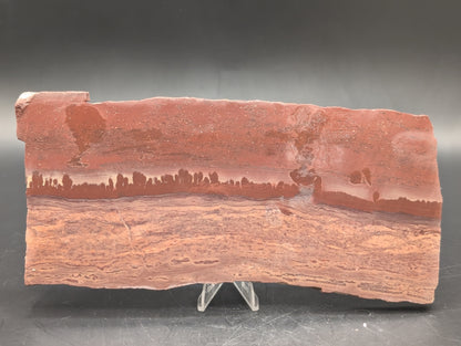 Apache Canyon Rhyolite (Unpolished)