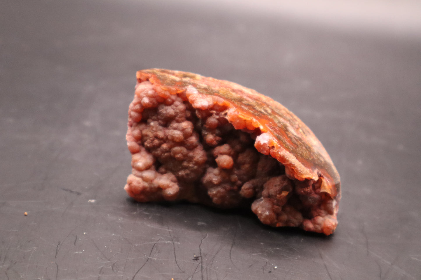 Woodward Ranch biscuit (Polished)